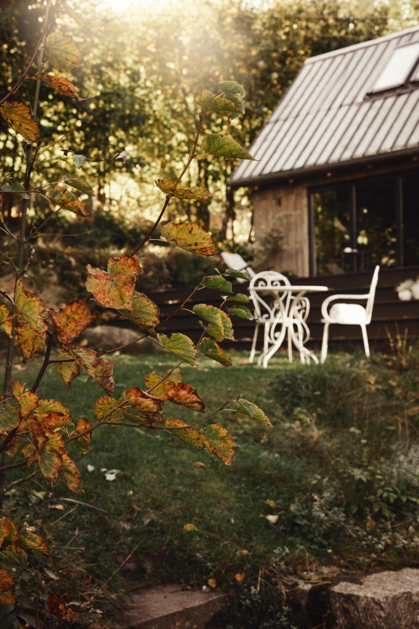 Hotel Lavendowo à Piechowice  Extérieur photo